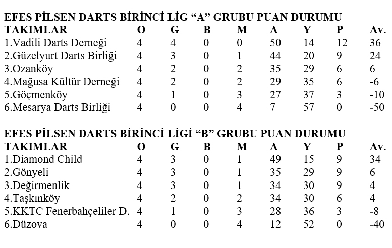 darts-puan-034.jpg